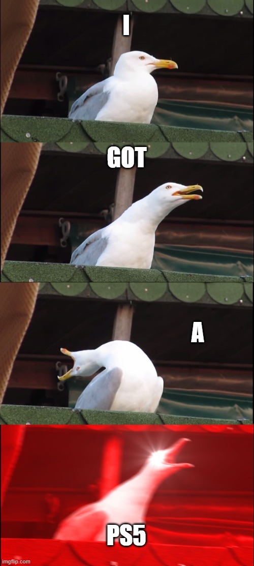 Inhaling Seagull Meme | I; GOT; A; PS5 | image tagged in memes,inhaling seagull | made w/ Imgflip meme maker