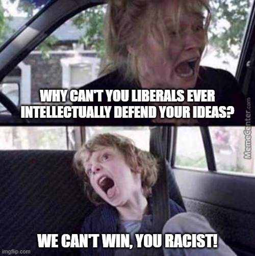 Welcome to 2021. Introducing the Woke. | WHY CAN'T YOU LIBERALS EVER INTELLECTUALLY DEFEND YOUR IDEAS? WE CAN'T WIN, YOU RACIST! | image tagged in why can't you just be normal blank,liberals,racist,democrats,childish,rage | made w/ Imgflip meme maker