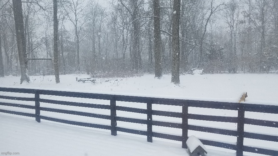 Loving this snow! | made w/ Imgflip meme maker