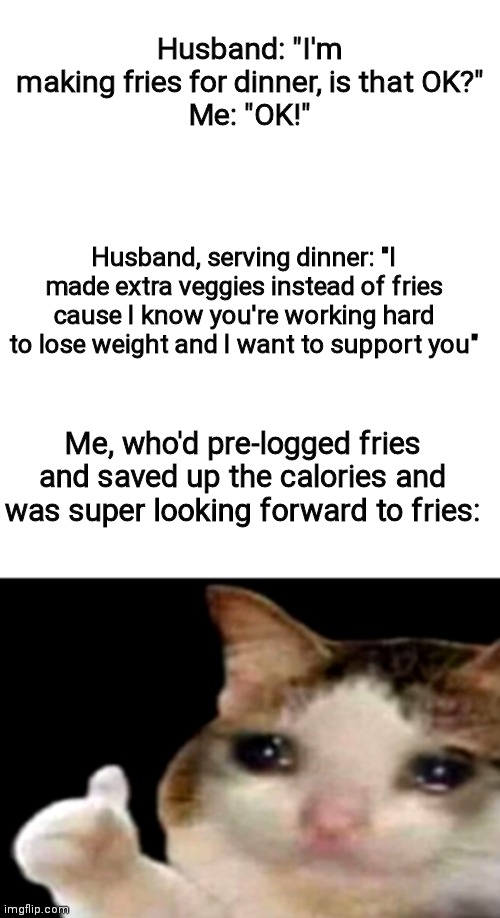 Sad cat thumbs up white spacing | Husband: "I'm making fries for dinner, is that OK?"
Me: "OK!"; Husband, serving dinner: "I made extra veggies instead of fries cause I know you're working hard to lose weight and I want to support you"; Me, who'd pre-logged fries and saved up the calories and was super looking forward to fries: | image tagged in sad cat thumbs up white spacing,1200isplenty | made w/ Imgflip meme maker