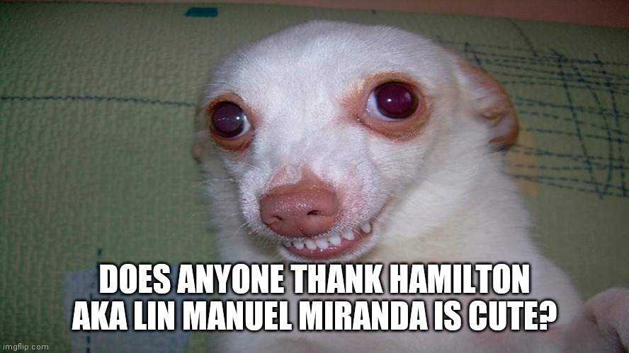 Heh | DOES ANYONE THANK HAMILTON AKA LIN MANUEL MIRANDA IS CUTE? | image tagged in embarrassed grin | made w/ Imgflip meme maker