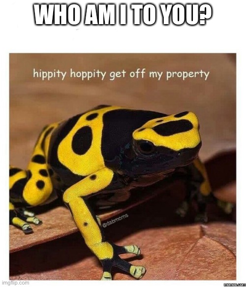 hippity hoppity | WHO AM I TO YOU? | image tagged in hippity hoppity | made w/ Imgflip meme maker