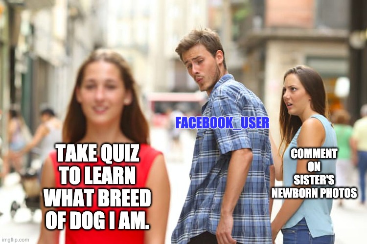 FACEBOOK_USER | FACEBOOK_USER; COMMENT ON SISTER'S NEWBORN PHOTOS; TAKE QUIZ TO LEARN WHAT BREED OF DOG I AM. | image tagged in memes,distracted boyfriend,facebook,first world problems,funny,funny memes | made w/ Imgflip meme maker
