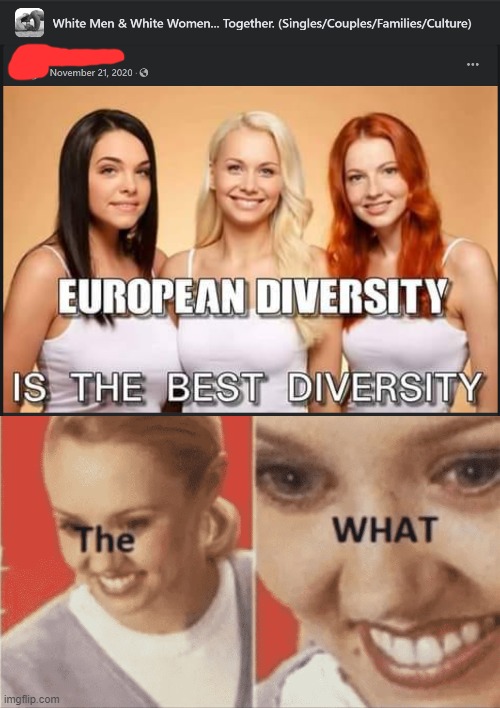 European diversity is the best diversity Blank Meme Template