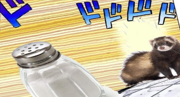 Salt versus ferret Blank Meme Template