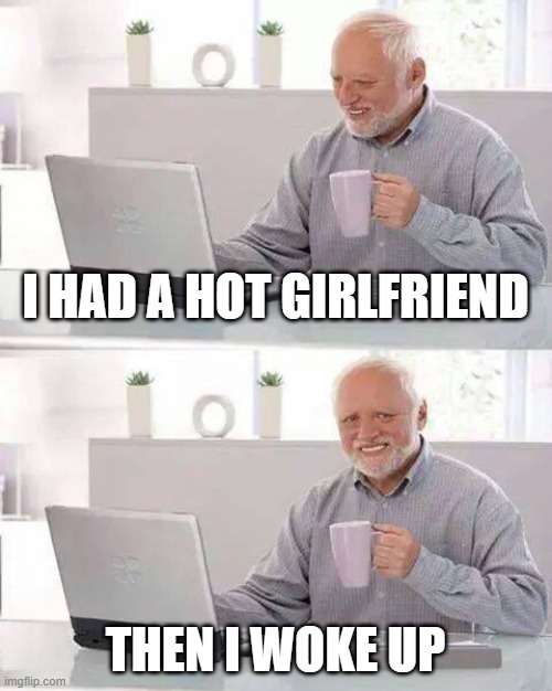 so true T-T | I HAD A HOT GIRLFRIEND; THEN I WOKE UP | image tagged in memes,never gonna give you up,never gonna let you down,never gonna run around | made w/ Imgflip meme maker