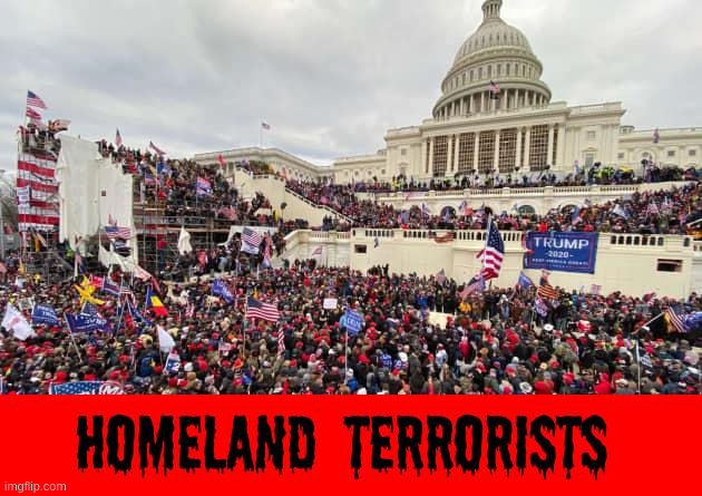 Homeland Terrorists | image tagged in terrorists | made w/ Imgflip meme maker