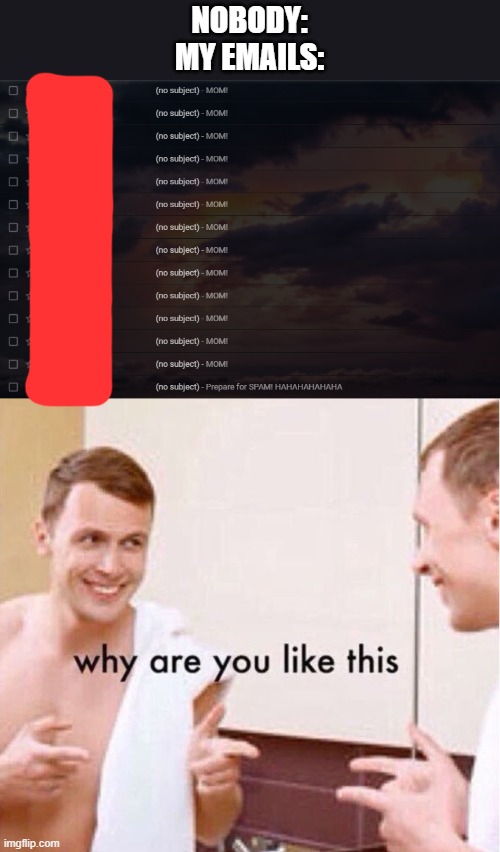 NOBODY:
MY EMAILS: | image tagged in why are you like this | made w/ Imgflip meme maker