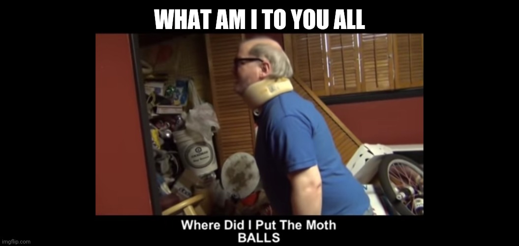 Please answer it's annoying when I don't get an answer | WHAT AM I TO YOU ALL | image tagged in where did i put the moth balls | made w/ Imgflip meme maker