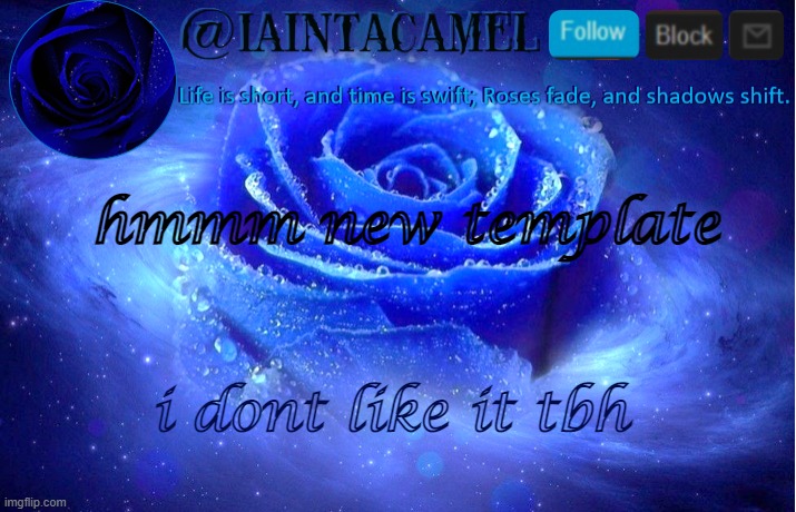 iaintacamel | hmmm new template; i dont like it tbh | image tagged in iaintacamel | made w/ Imgflip meme maker