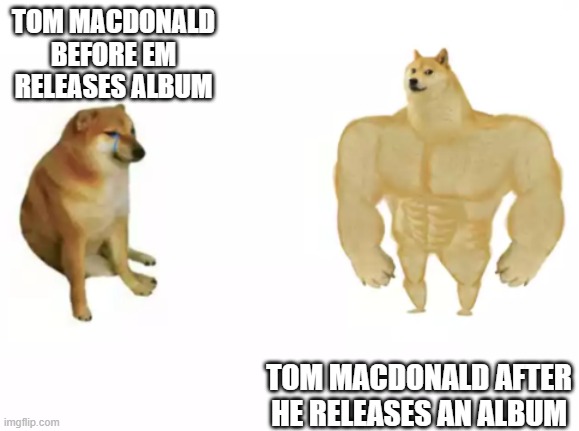 buff bluff, son. them clown shoes needed airing out? | TOM MACDONALD BEFORE EM RELEASES ALBUM; TOM MACDONALD AFTER HE RELEASES AN ALBUM | image tagged in buff doge vs cheems reversed | made w/ Imgflip meme maker