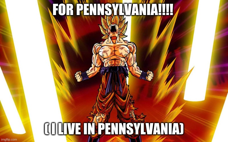 Super Sayain | FOR PENNSYLVANIA!!!! ( I LIVE IN PENNSYLVANIA) | image tagged in super sayain | made w/ Imgflip meme maker