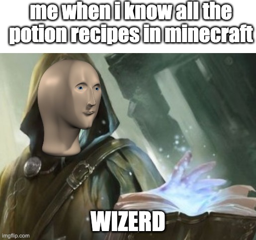 when i know how to make all potion recipes | me when i know all the potion recipes in minecraft; WIZERD | image tagged in memes | made w/ Imgflip meme maker