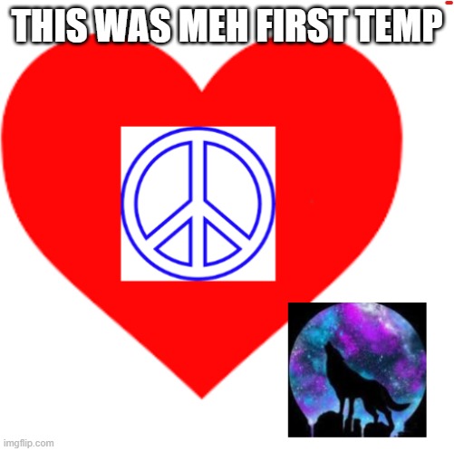 this took me 45 minutes to make and it was still horrible | THIS WAS MEH FIRST TEMP | image tagged in rayray31's meme | made w/ Imgflip meme maker