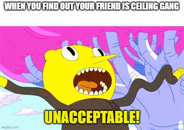 UNACCEPTABLE | WHEN YOU FIND OUT YOUR FRIEND IS CEILING GANG; UNACCEPTABLE! | image tagged in unacceptable | made w/ Imgflip meme maker