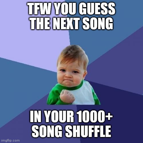 Prediction successful! | TFW YOU GUESS THE NEXT SONG; IN YOUR 1000+ SONG SHUFFLE | image tagged in memes,success kid | made w/ Imgflip meme maker