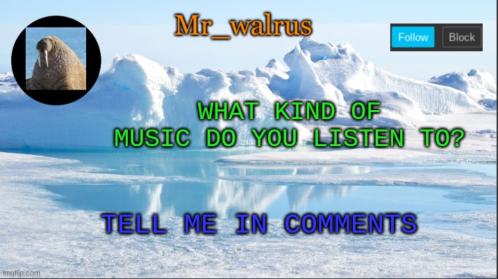 Mr_walrus | WHAT KIND OF MUSIC DO YOU LISTEN TO? TELL ME IN COMMENTS | image tagged in mr_walrus | made w/ Imgflip meme maker