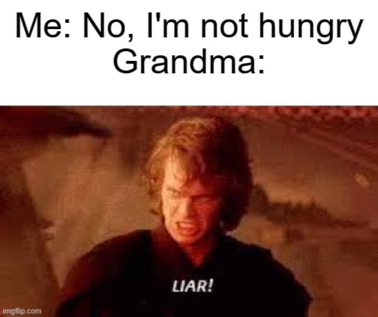 can anyone else relate? |  Me: No, I'm not hungry
Grandma: | image tagged in anakin liar,star wars,funny memes | made w/ Imgflip meme maker