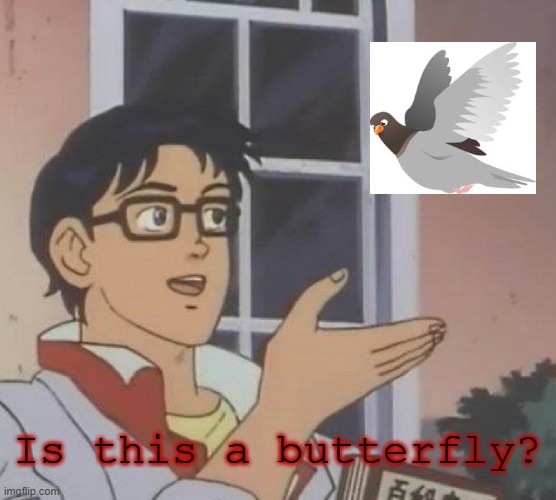 ... | Is this a butterfly? | image tagged in memes,is this a pigeon,opposite | made w/ Imgflip meme maker
