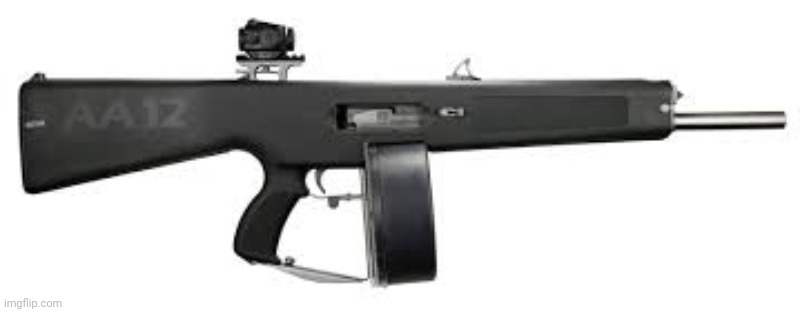I'm doing something new : gun of the day. Gun : AA12 | made w/ Imgflip meme maker