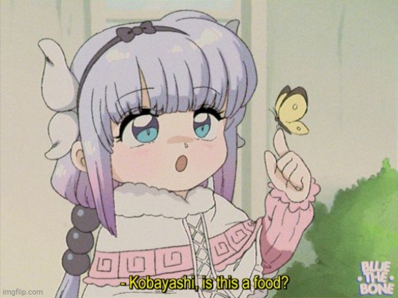 Kanna is this food? | image tagged in kanna is this food | made w/ Imgflip meme maker
