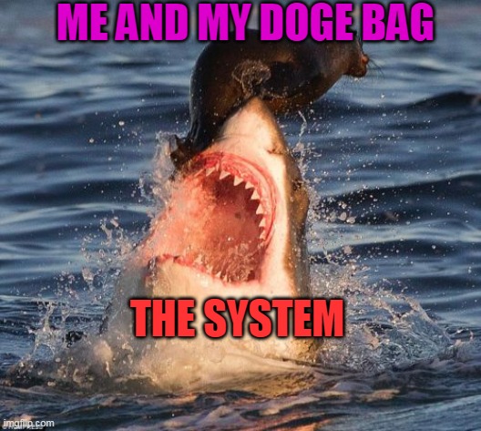 Not today Satan! |  ME AND MY DOGE BAG; THE SYSTEM | image tagged in memes,travelonshark | made w/ Imgflip meme maker