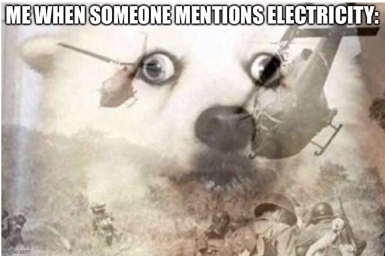 vietnam dog | ME WHEN SOMEONE MENTIONS ELECTRICITY: | image tagged in vietnam dog | made w/ Imgflip meme maker