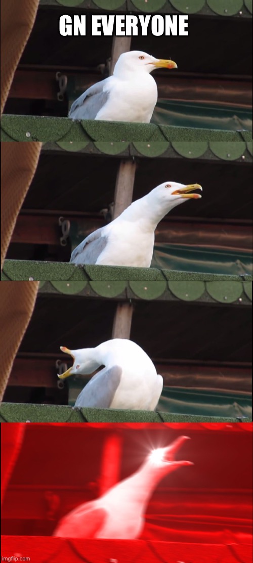 Inhaling Seagull | GN EVERYONE | image tagged in memes,inhaling seagull | made w/ Imgflip meme maker