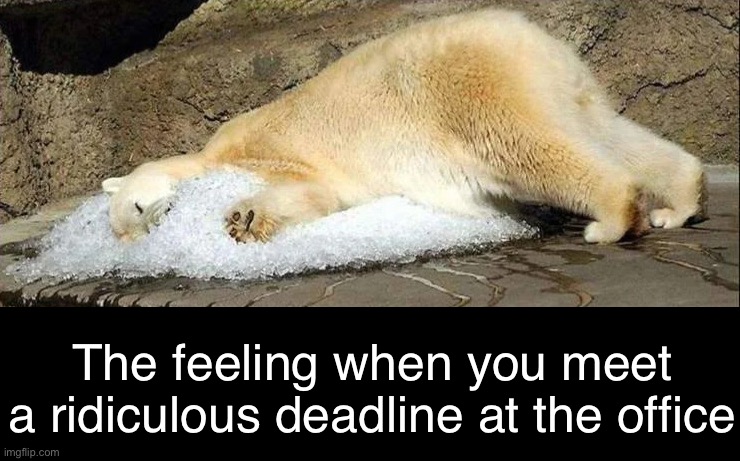 I Did It! | The feeling when you meet a ridiculous deadline at the office | image tagged in funny memes,deadlines,working on the weekend | made w/ Imgflip meme maker