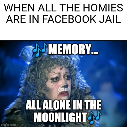 Facebook Jail | WHEN ALL THE HOMIES ARE IN FACEBOOK JAIL; 🎶MEMORY... ALL ALONE IN THE
    MOONLIGHT🎶 | image tagged in facebook jail,cats,homies | made w/ Imgflip meme maker
