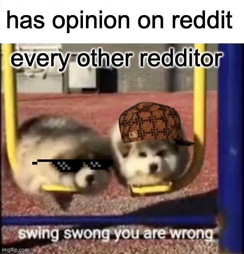 WRONG | has opinion on reddit; every other redditor | image tagged in swing swong you are wrong | made w/ Imgflip meme maker
