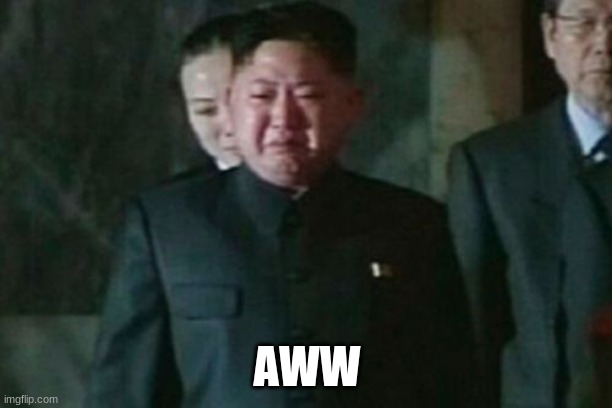 Kim Jong Un Sad Meme | AWW | image tagged in memes,kim jong un sad | made w/ Imgflip meme maker
