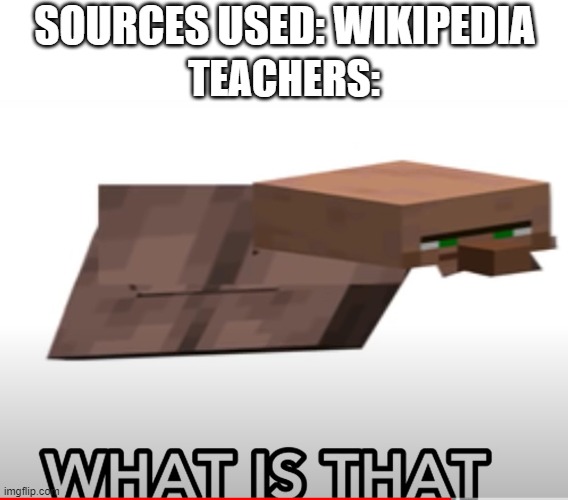 Hrmm | SOURCES USED: WIKIPEDIA; TEACHERS: | image tagged in what is that,cursed image,dank meme,youtube,minecraft,minecraft villagers | made w/ Imgflip meme maker