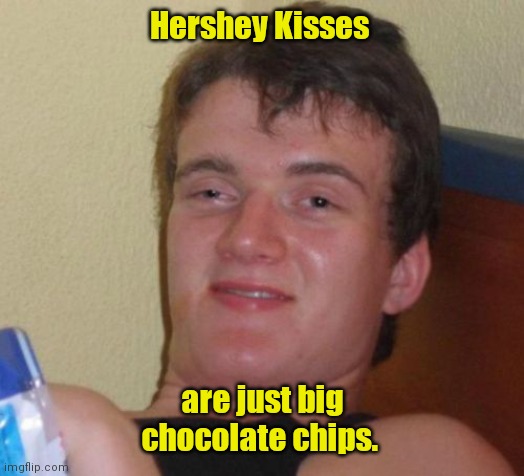 Simple minds. | Hershey Kisses; are just big chocolate chips. | image tagged in memes,10 guy,funny | made w/ Imgflip meme maker