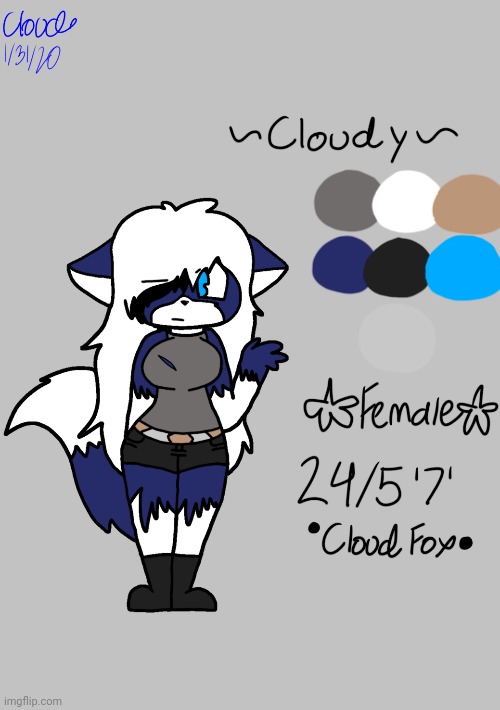 So I redesigned cloudy, and made her official ref sheet. | made w/ Imgflip meme maker