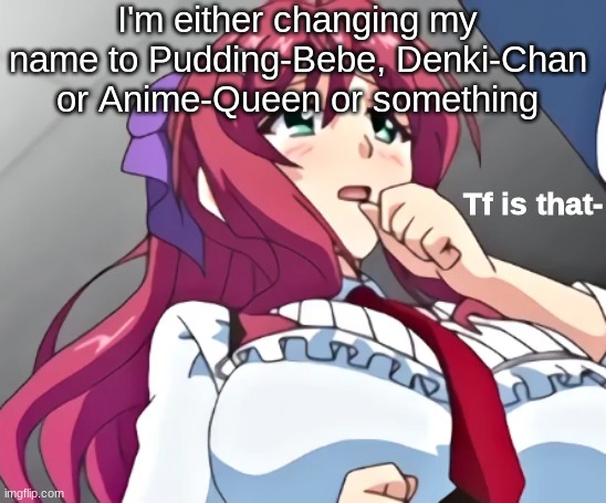 Or imma keep this one | I'm either changing my name to Pudding-Bebe, Denki-Chan or Anime-Queen or something | image tagged in tf is that- | made w/ Imgflip meme maker