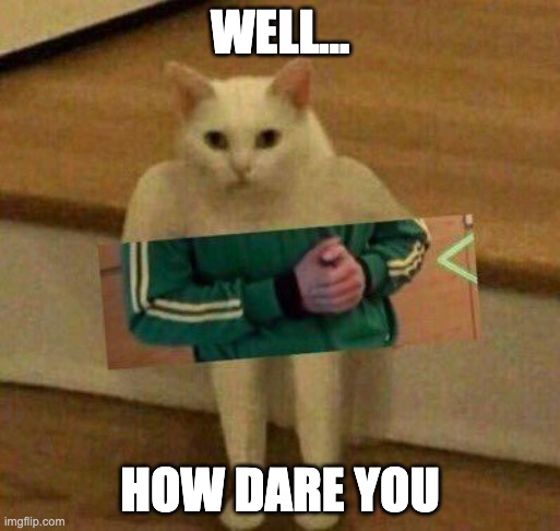 cursed | WELL... HOW DARE YOU | image tagged in cursedcat | made w/ Imgflip meme maker