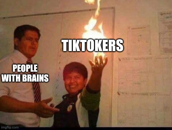 Kid Holding Fire | TIKTOKERS; PEOPLE WITH BRAINS | image tagged in kid holding fire | made w/ Imgflip meme maker