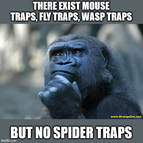 Hmm ... | THERE EXIST MOUSE TRAPS, FLY TRAPS, WASP TRAPS; BUT NO SPIDER TRAPS | image tagged in deep thoughts | made w/ Imgflip meme maker