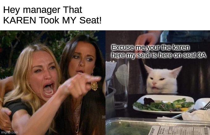 Woman Yelling At Cat Meme | Hey manager That KAREN Took MY Seat! Excuse me,your the karen here my seat is here on seat 3A | image tagged in memes,woman yelling at cat | made w/ Imgflip meme maker