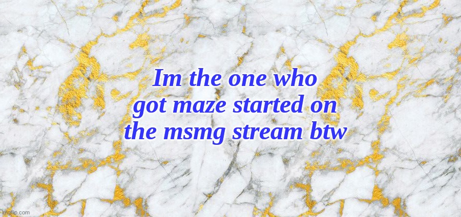 idk im random lol | Im the one who got maze started on the msmg stream btw | made w/ Imgflip meme maker