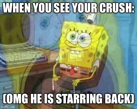 Omg my crush | WHEN YOU SEE YOUR CRUSH:; (OMG HE IS STARRING BACK) | image tagged in spongebob panic inside | made w/ Imgflip meme maker