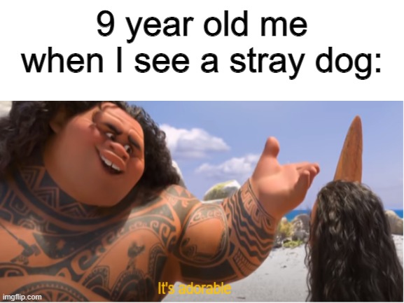 yes | 9 year old me when I see a stray dog: | image tagged in relatable | made w/ Imgflip meme maker