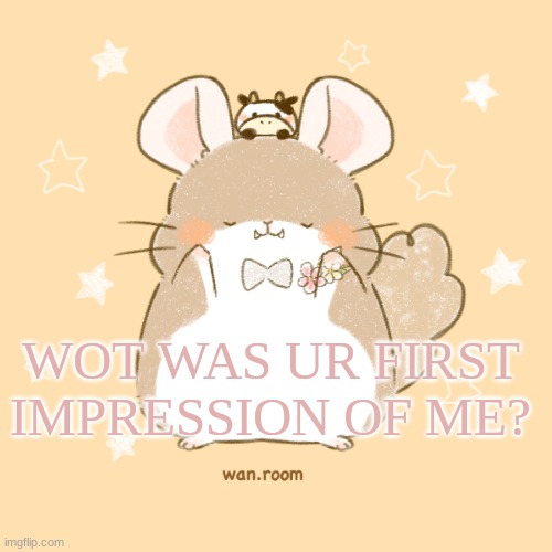 ya | WOT WAS UR FIRST IMPRESSION OF ME? | made w/ Imgflip meme maker