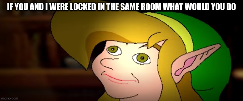 derp link | IF YOU AND I WERE LOCKED IN THE SAME ROOM WHAT WOULD YOU DO | image tagged in derp link,memes | made w/ Imgflip meme maker