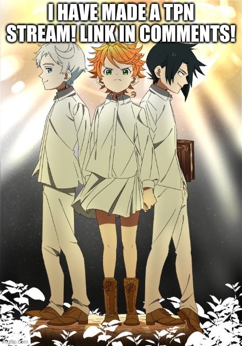 The promised neverland trio | I HAVE MADE A TPN STREAM! LINK IN COMMENTS! | image tagged in the promised neverland trio | made w/ Imgflip meme maker