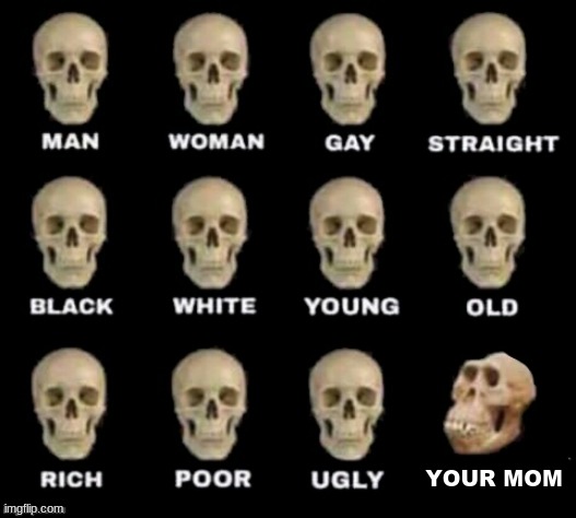 Ooohhh burn | YOUR MOM | image tagged in idiot skull | made w/ Imgflip meme maker