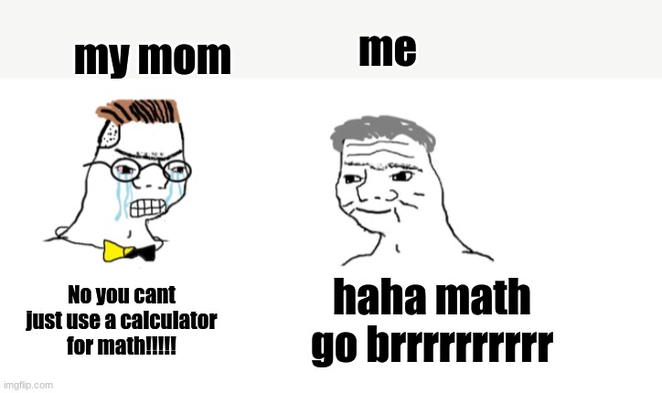 nooo haha go brrr | my mom; me; haha math go brrrrrrrrrr; No you cant just use a calculator for math!!!!! | image tagged in nooo haha go brrr | made w/ Imgflip meme maker