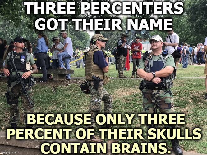 Losers | THREE PERCENTERS GOT THEIR NAME; BECAUSE ONLY THREE PERCENT OF THEIR SKULLS 
CONTAIN BRAINS. | image tagged in white supremacists,idiots,losers,jail | made w/ Imgflip meme maker