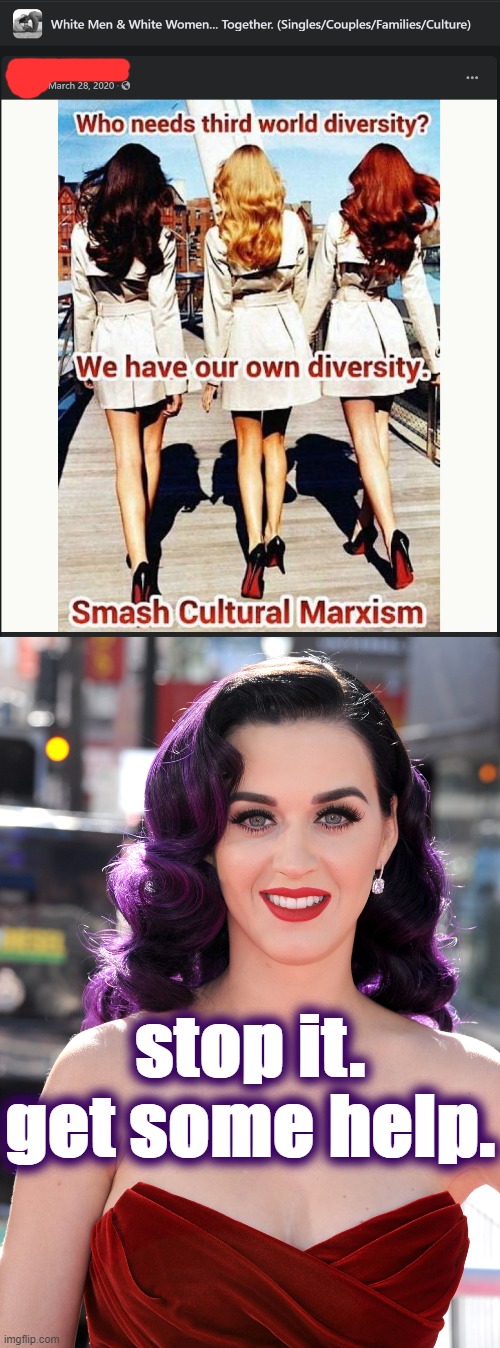 Ah yes, that "diversity" which can be swapped out any day at the hair salon for the price of an oil change | stop it. get some help. | image tagged in katy perry purple hair | made w/ Imgflip meme maker